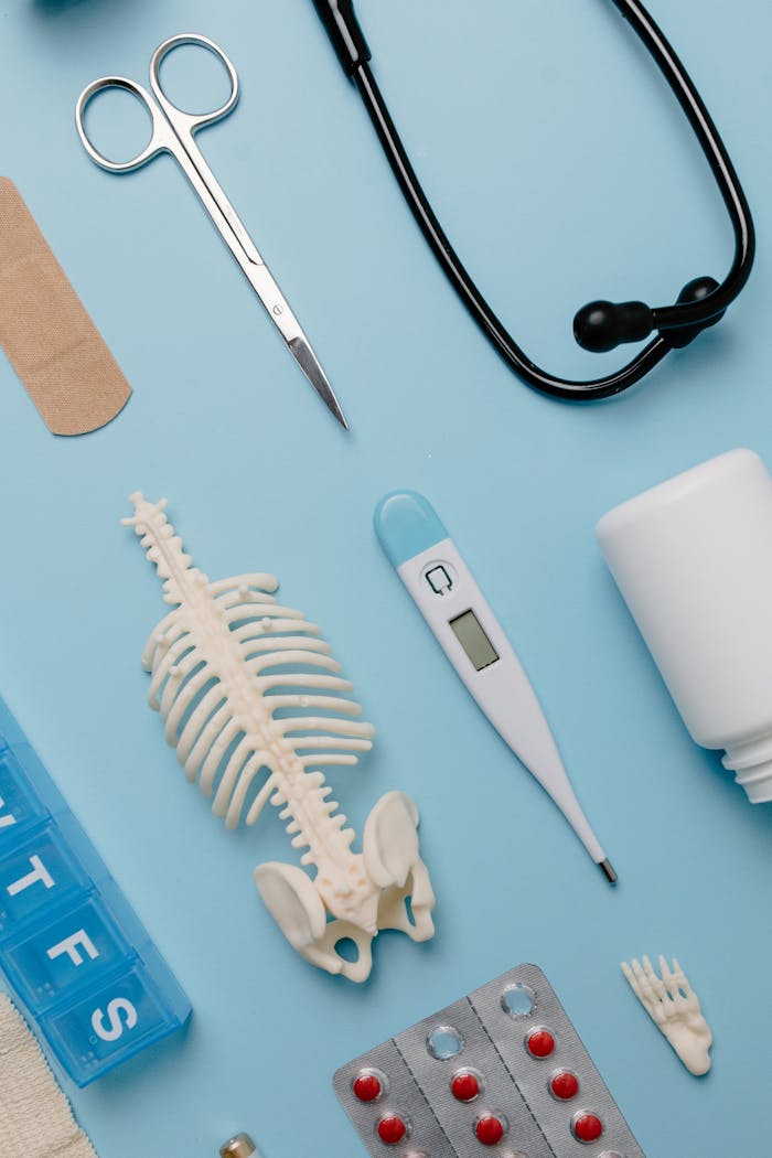 services-img Flat lay of medical tools and skeleton model on a blue background.